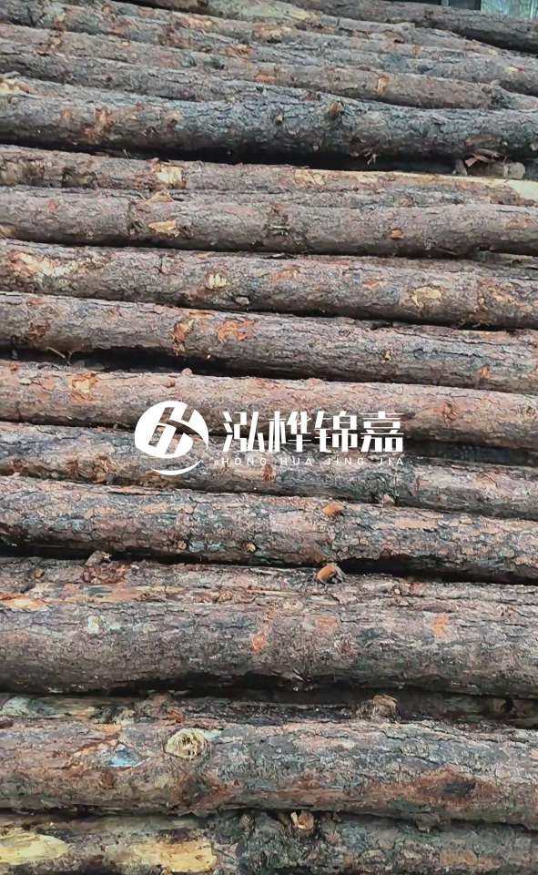 陽(yáng)江松木樁源頭廠家-哪一種打樁木最便宜？