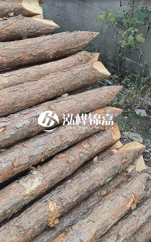 松木樁哪里能大量供應(yīng)？4米20公分松木樁價格是多少？