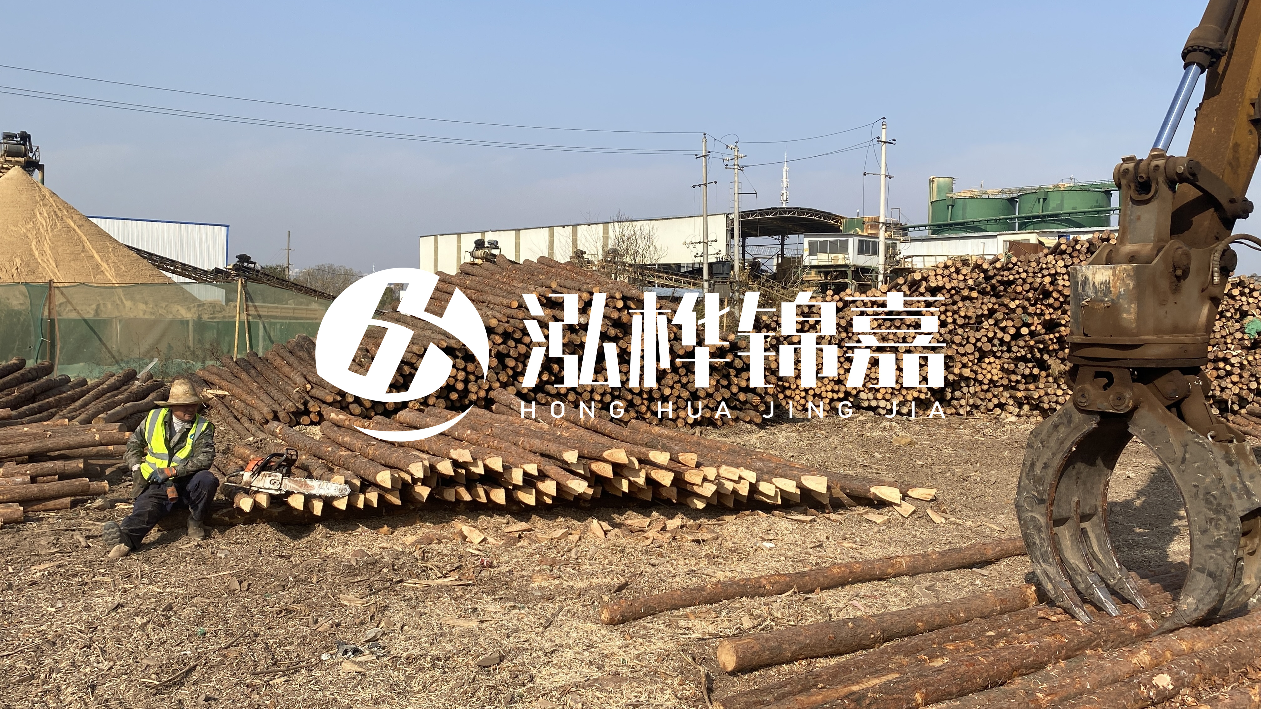 河道木材松木樁怎么選？松木樁源頭廠(chǎng)家告訴你！