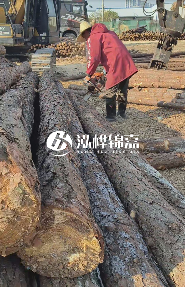 長(zhǎng)沙打樁木批發(fā)廠家在哪里？聯(lián)系方式是什么？