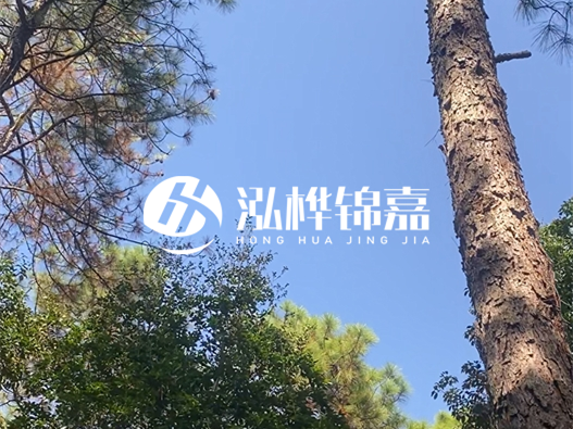 松木樁廠家的供貨能力強(qiáng)不強(qiáng)-怎么才能聯(lián)系到松木樁廠家？