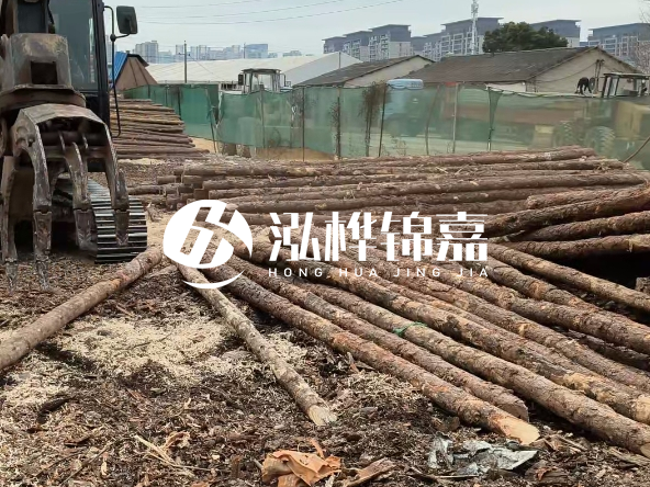 2 米長(zhǎng)度松木樁多少錢？松木樁 10 一 15 公分價(jià)格？