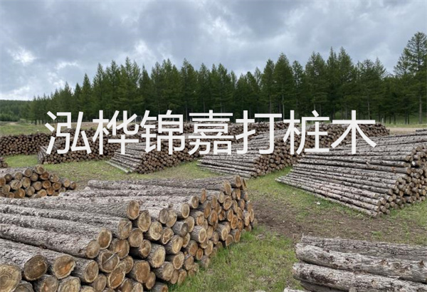 軟土地基應(yīng)按照哪些要素進行施工與管理？