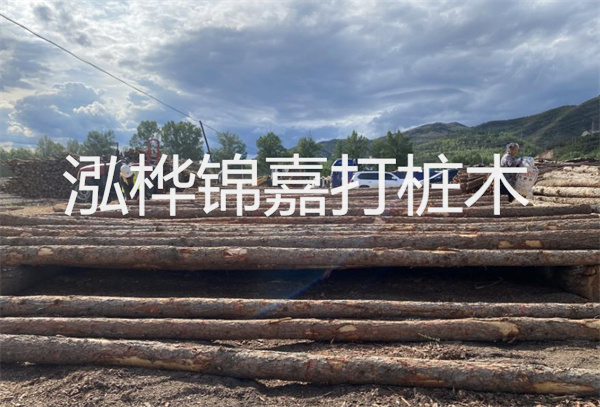打造綠色環(huán)保的加筋格賓擋墻，呵護(hù)美麗家園